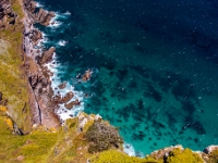 Cape Point Nature Reserve